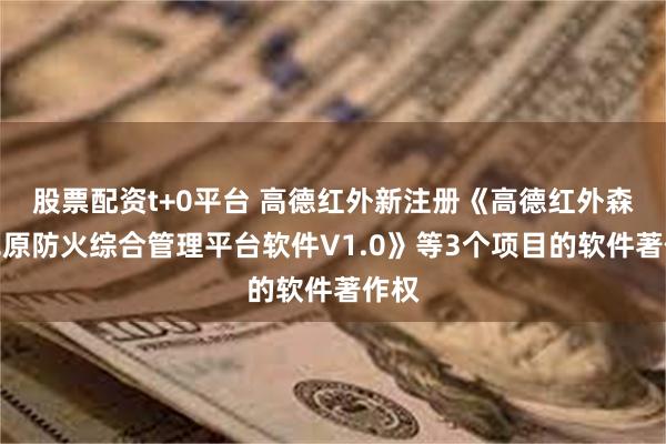 股票配资t+0平台 高德红外新注册《高德红外森林草原防火综合管理平台软件V1.0》等3个项目的软件著作权