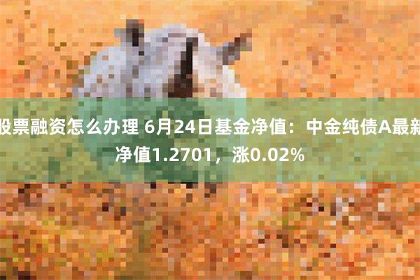 股票融资怎么办理 6月24日基金净值：中金纯债A最新净值1.2701，涨0.02%