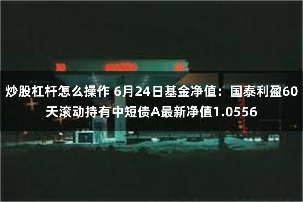 炒股杠杆怎么操作 6月24日基金净值：国泰利盈60天滚动持有中短债A最新净值1.0556