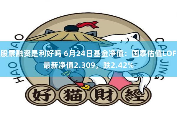 股票融资是利好吗 6月24日基金净值：国泰估值LOF最新净值2.309，跌2.42%