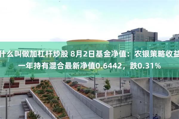 什么叫做加杠杆炒股 8月2日基金净值：农银策略收益一年持有混合最新净值0.6442，跌0.31%