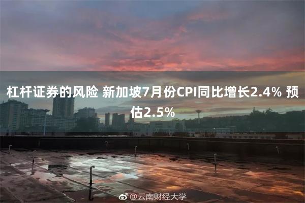 杠杆证券的风险 新加坡7月份CPI同比增长2.4% 预估2.5%