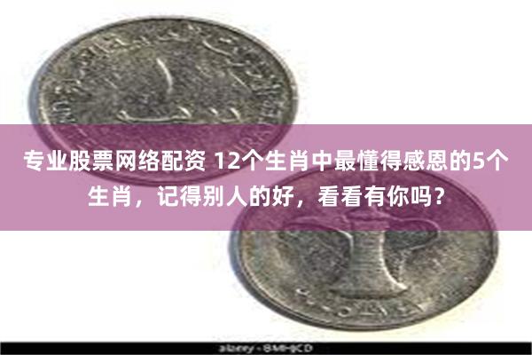 专业股票网络配资 12个生肖中最懂得感恩的5个生肖，记得别人的好，看看有你吗？