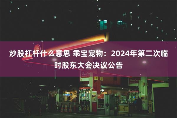 炒股杠杆什么意思 乖宝宠物：2024年第二次临时股东大会决议公告