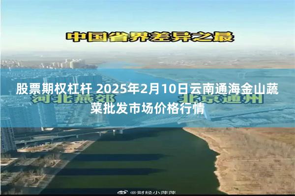 股票期权杠杆 2025年2月10日云南通海金山蔬菜批发市场价格行情