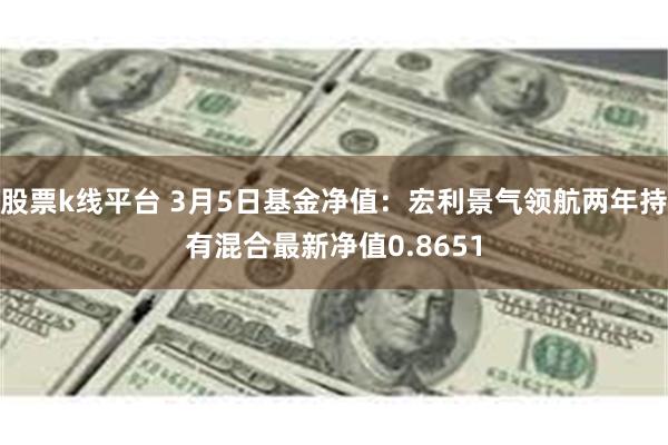 股票k线平台 3月5日基金净值：宏利景气领航两年持有混合最新净值0.8651