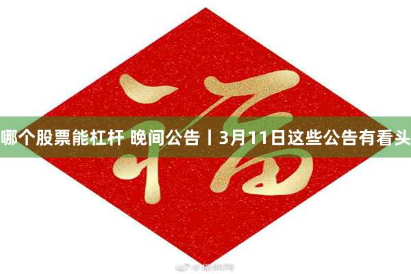 哪个股票能杠杆 晚间公告丨3月11日这些公告有看头